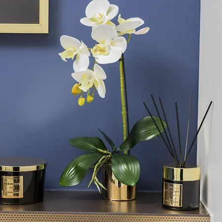 Beaufort Estate By Renters Апартаменты *